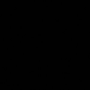 Meet your Posher, Sylvia